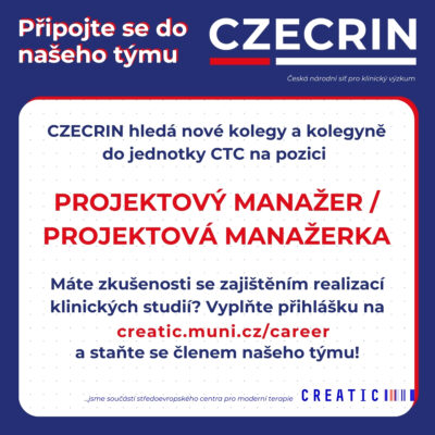 Projektový manažer