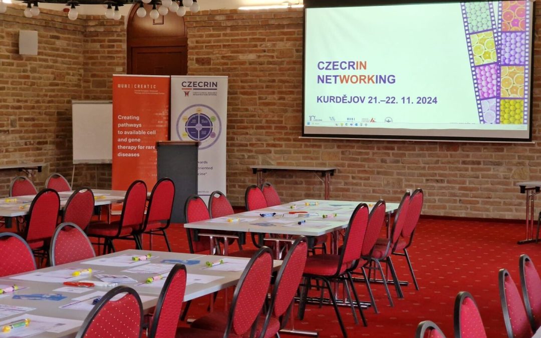 CZECRIN Networking 2024