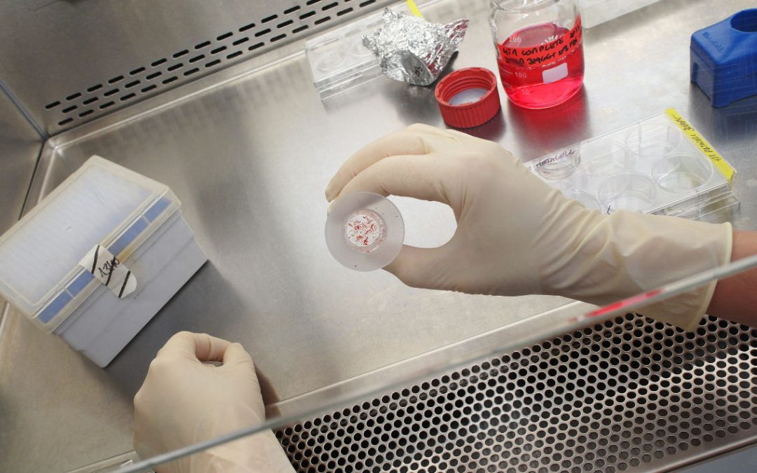 Science Talk: “The Story of Drugs – The Biggest Failures That Impacted Drug Development”